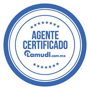 Certificado 5